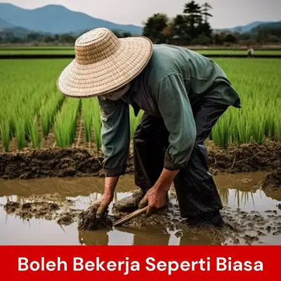 boleh kerja seperti biasa